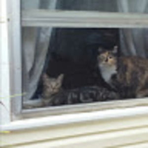 Meet your Posher, Leeann